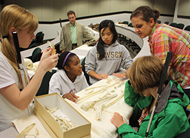 A group of students examine bones in an auditorium